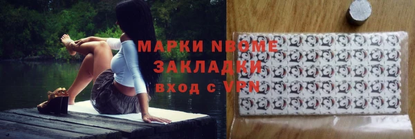 spice Инта