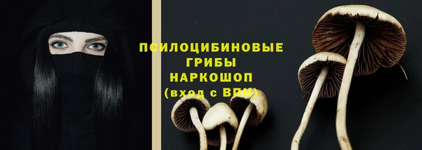 spice Инта