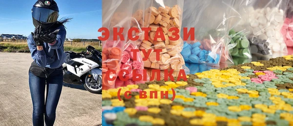 spice Инта