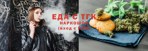 spice Инта