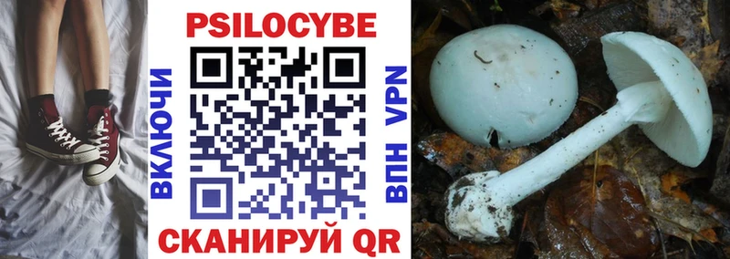 купить  сайты  Катайск  Галлюциногенные грибы прущие грибы 
